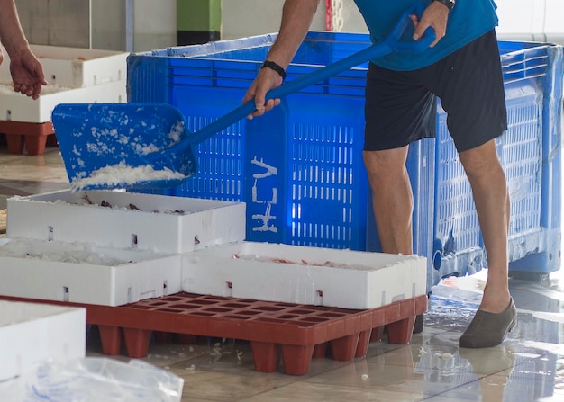 Weiße Behälter mit Gefangenen von Meeresfischen Ozean Delikatessen Industrielle Gefangene von frischen Fischen Fisch Auktion für Großhändler und Restaurants Garrucha Spanien Almeria