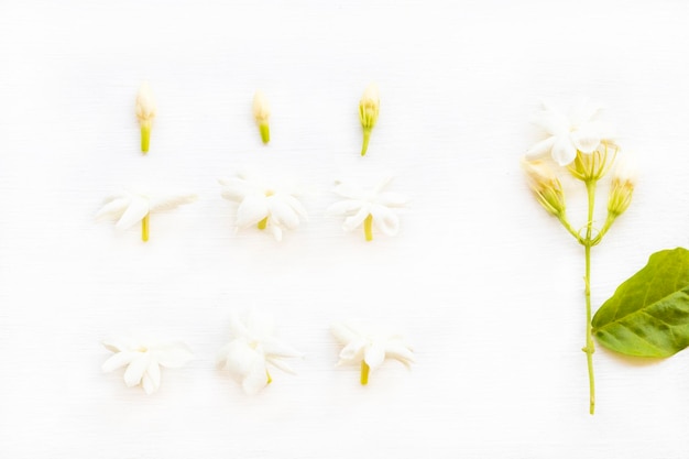 weiße Blüten Jasmin Arrangement flach lag Postkartenstil