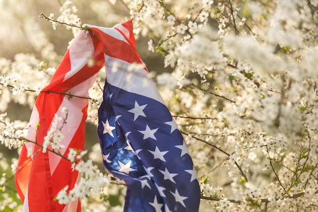 Weiße Blumen auf dem Baum, Frühlingsblüte. Usa Flagge