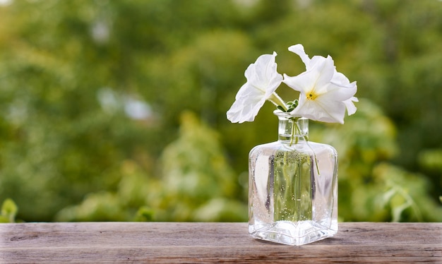 Weiße Blumen in einer Glasflasche auf einem Holztisch.