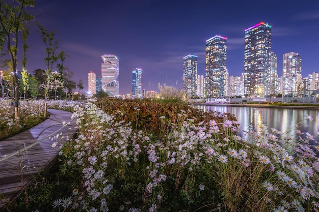 Weiße Blumen und schöne Nachtansicht im Songdo Central Park im Songdo District Incheon Südkorea