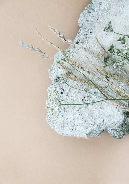 Weiße Blumen und Stein auf beige Wand. Ästhetische minimale Tapete. Sommerblumenpflanzenhintergrundzusammensetzung