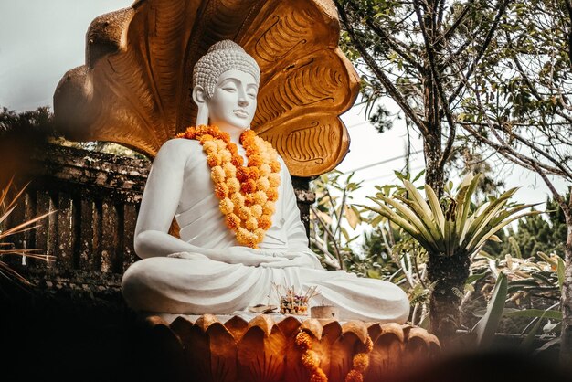 Weiße Buddha-Statue mit geschlossenen Augen im Dschungel