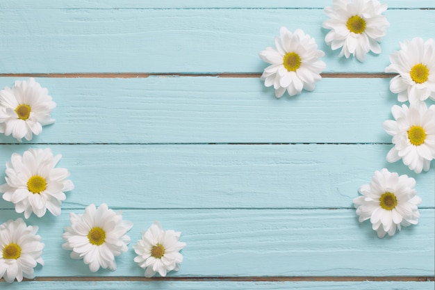 Weiße chrysantheme auf blauem holztisch