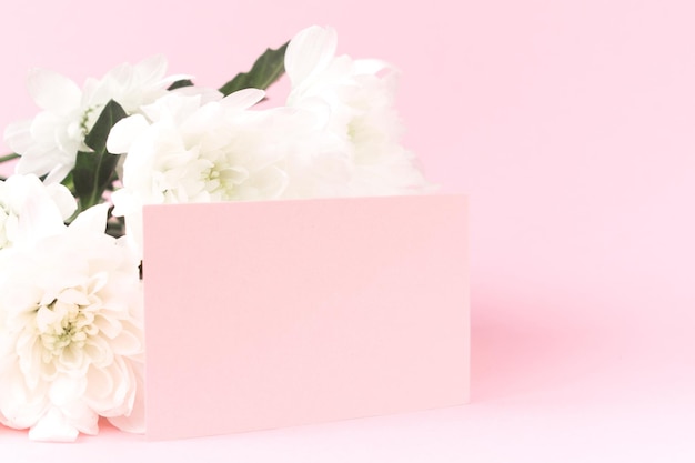 Foto weiße chrysanthemen mit platz für grußtext auf rosa hintergrund. karte für valentinstag, mama, frauentag und 8. märz. kopieren sie platz, mock-up, banner.