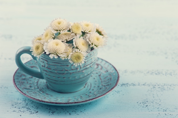 Weiße Chrysanthemenblumen in der blauen Tasse