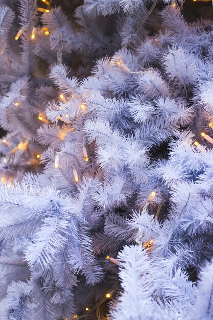 Weiße Fichtenzweige eines künstlichen Weihnachtsbaums mit gelben Lichtern. Hintergrund und Kopie Platz.