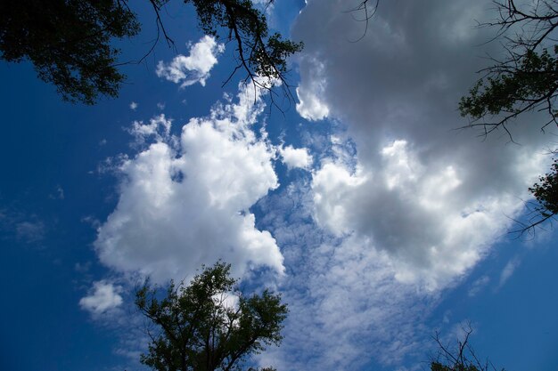 weiße flauschige Wolken an einem sonnigen Tag am blauen Himmel an einem Sommertag