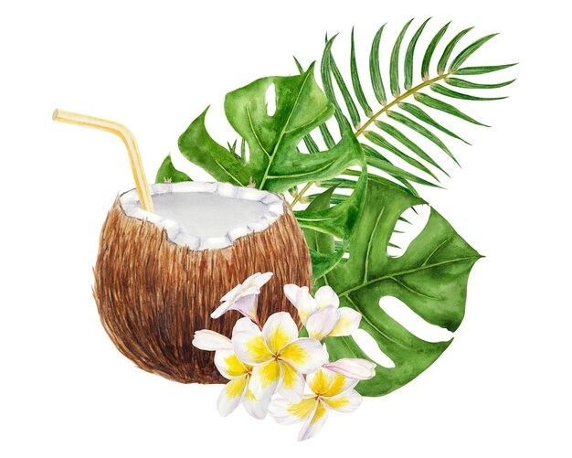 Foto weiße frangipani grüne monstera palmblätter illustration aquarell handgezeichnete clip art von exotischen