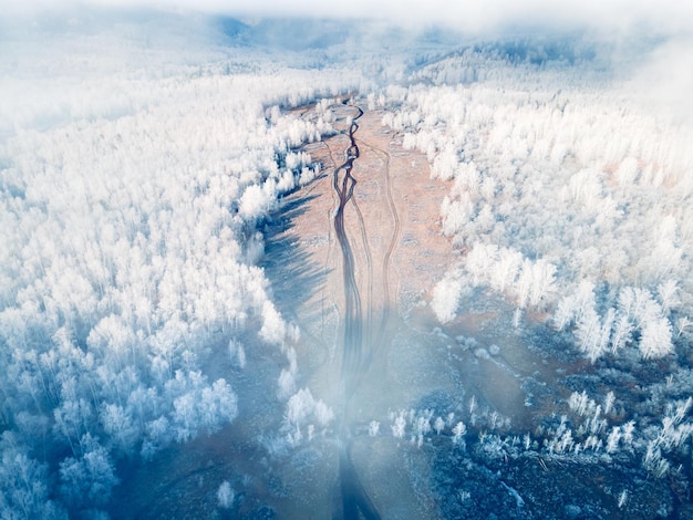 Weiße frostbedeckte Bäume im Winterwald beim nebligen Sonnenaufgang Luftansicht