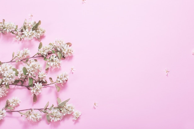 Weiße frühlingsblumen auf rosa papieroberfläche