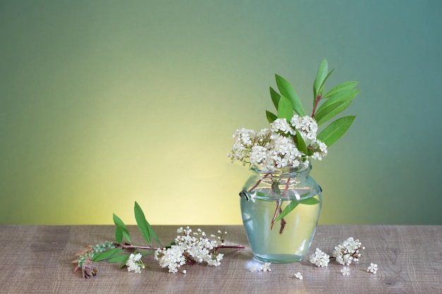 Weiße Frühlingsblumen im Glas auf grünem Hintergrund