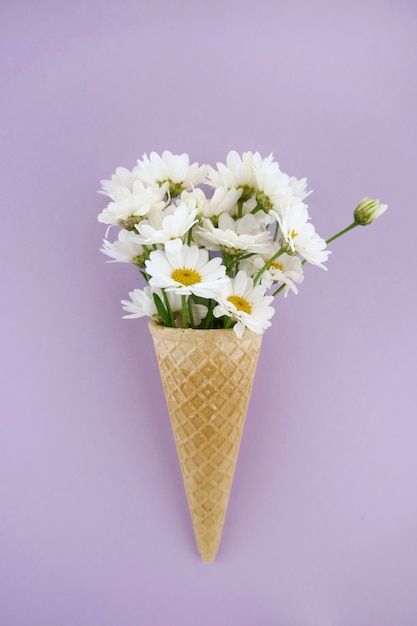 Weiße Gänseblümchen in einem Waffelkegel auf einem hellen lila Hintergrund