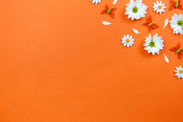 Weiße Gänseblümchenblumen und Schmetterlinge auf bunter orange Oberfläche