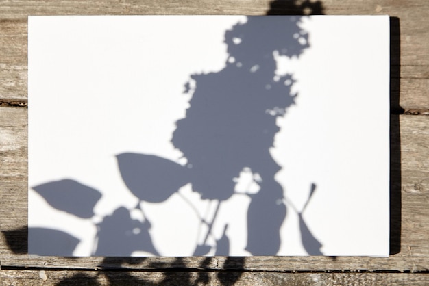 Foto weiße, gespannte leinwand-attrappe mit blumenschatten auf holzhintergrund