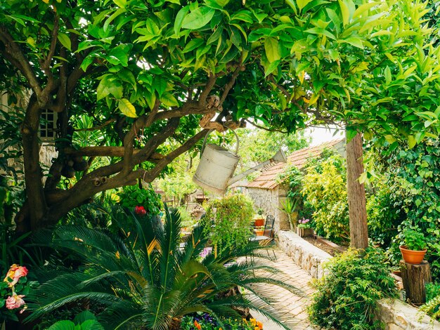 Weiße Gießkanne zum Gießen des Gartens, der an einem Baum hängt