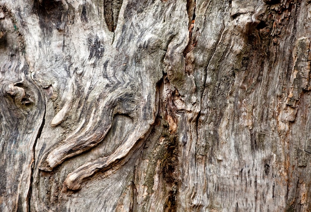 Weiße, graue Holzstruktur. Hintergrund alte Platten