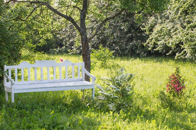 Weiße Holzbank im Sommergarten