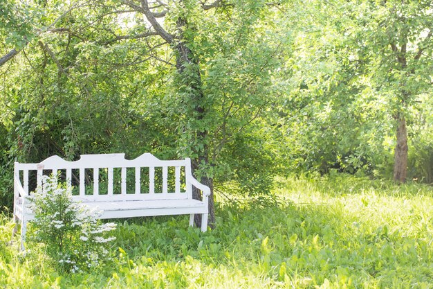 Weiße Holzbank im Sommergarten