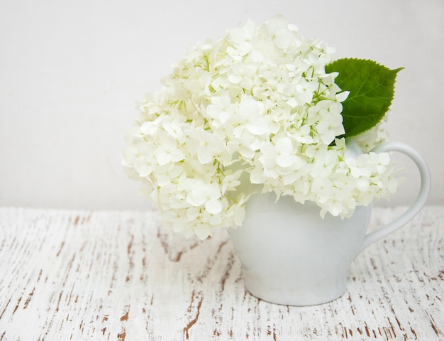 Weiße Hortensie in einer Vase