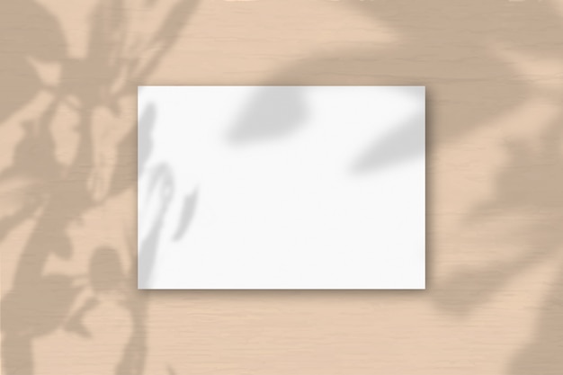 Weiße Karte mit Zweigschatten