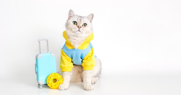 Weiße Katze im blauen Sweatshirt sitzt mit einem Koffer auf weißem Hintergrund