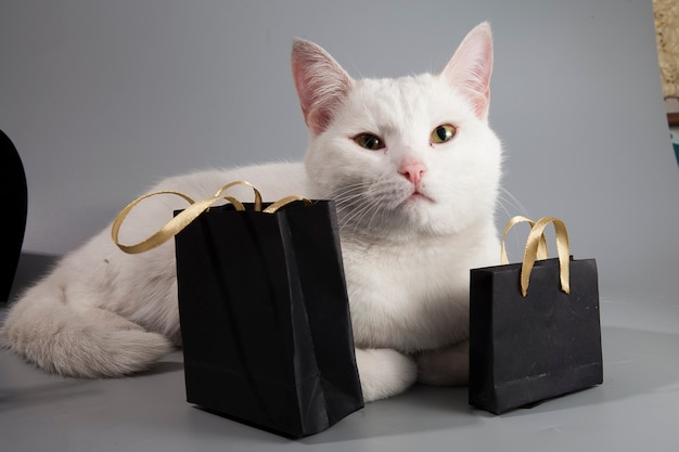 Weiße Katze sitzt mit schwarzen Taschen mit Black Friday Sale