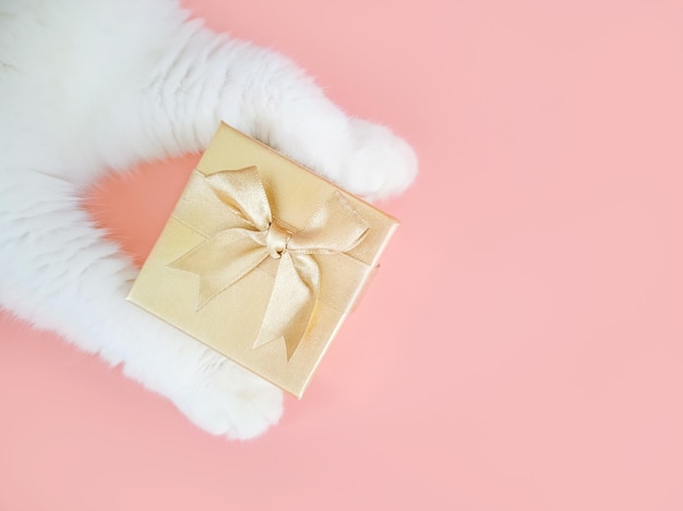 Foto weiße katzenpfote und goldene geschenkbox auf rosa hintergrund. neujahr, weihnachten, urlaub und haustiere konzept. minimalismus, draufsicht, kopienraum.