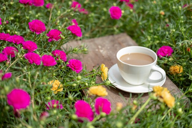 Foto weiße keramik kaffeetasse in der natur