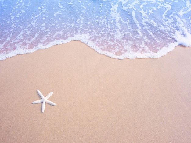 Weiße kleine Starfish auf Sand- und Pastellwasserwelle, Weinlesefiltereffekt.