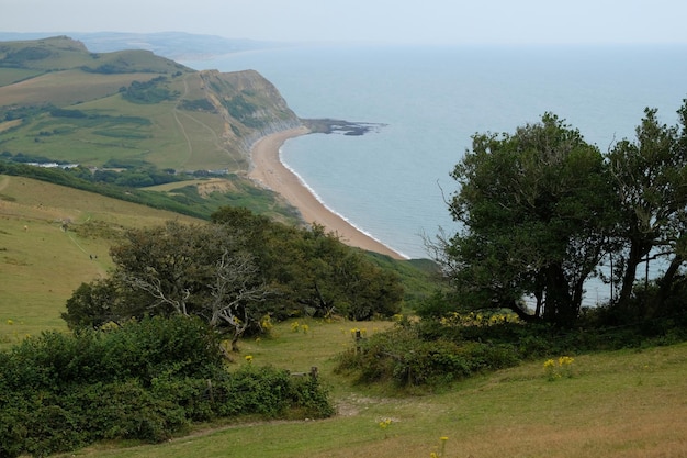 Weiße Klippen von Dover Südostengland Meer und Felsen im Sommer