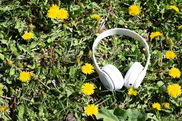 Weiße Kopfhörer auf grünem Gras