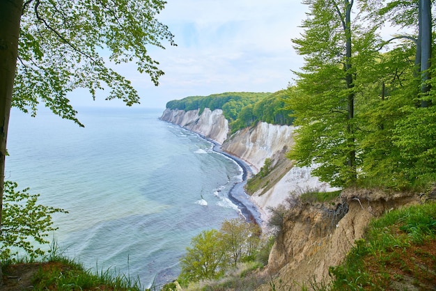 Weiße Kreidefelsen im Nationalpark Jasmund