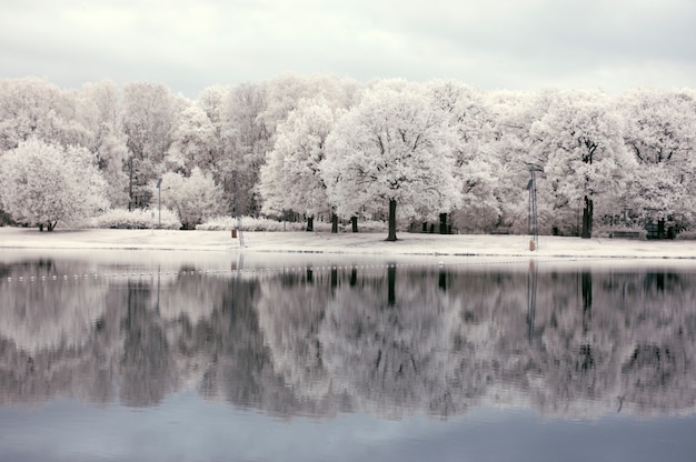 Foto weiße landschaft mit wald nahe dem see