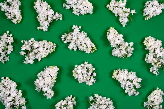 Weiße lila Blüten auf grünem Hintergrund Die Grundlage für die Postkarte Draufsicht flach lag Kopierraum