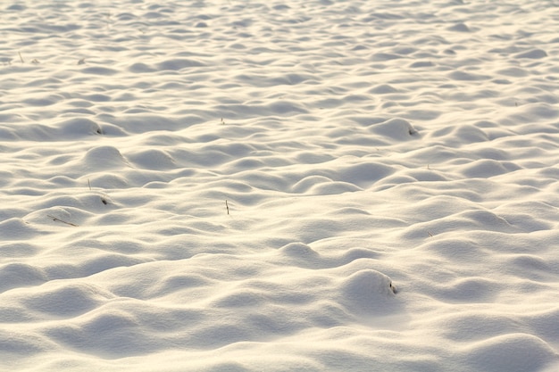 Weiße Oberfläche des klaren hellen ungleichen tiefen Schnees auf dem leeren Gebiet, ländliche Landschaft am eisigen kalten Tag des sonnigen Winters. Glänzend saubere saisonale,