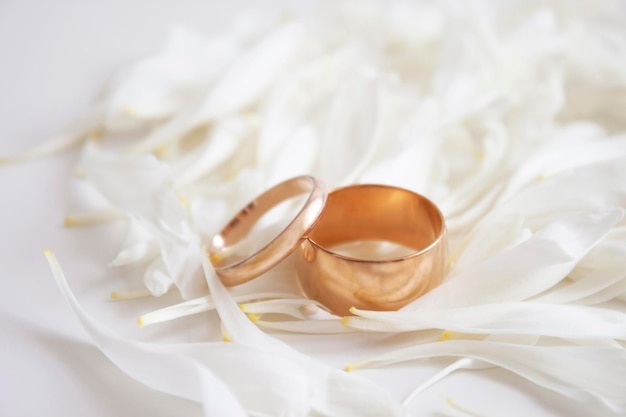 Weiße Pfingstrose Blütenblätter und Hochzeit Goldringe Hintergrund in sanften Tönen Hintergrund für eine Hochzeit