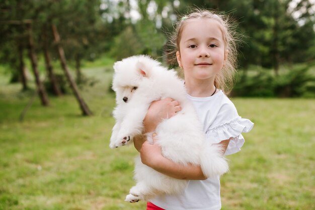 Weiße Pomsky-Hündchen spielen mit kleinen Mädchen im Freien im Park