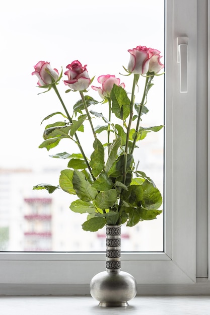 Weiße rosa Rosen im Zinnkrug auf der Fensterbank