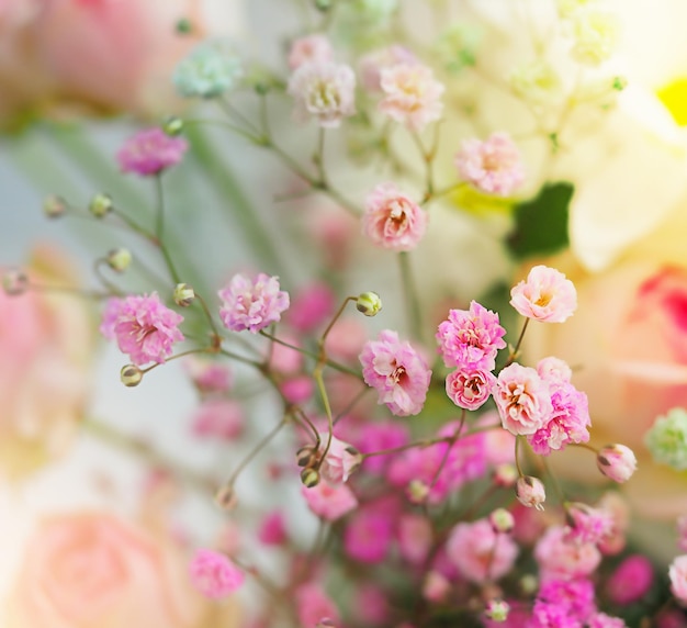 Foto weiße rosen und chrysanthemen auf weißem hintergrund. brautstrauß. hintergrund. sanfte pastellfarben. hintergrund für postkarten, einladungen und grüße.