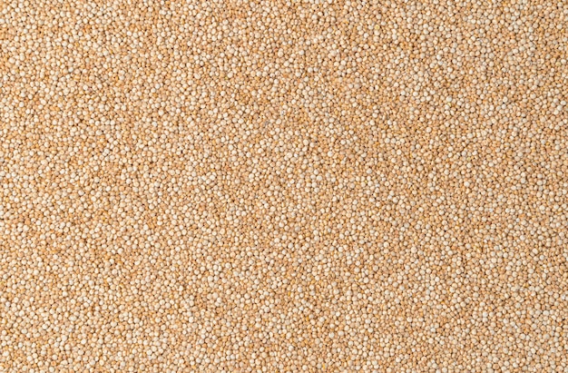 Foto weiße samen nützlicher quinoa kulinarischer hintergrund horizontale ansicht