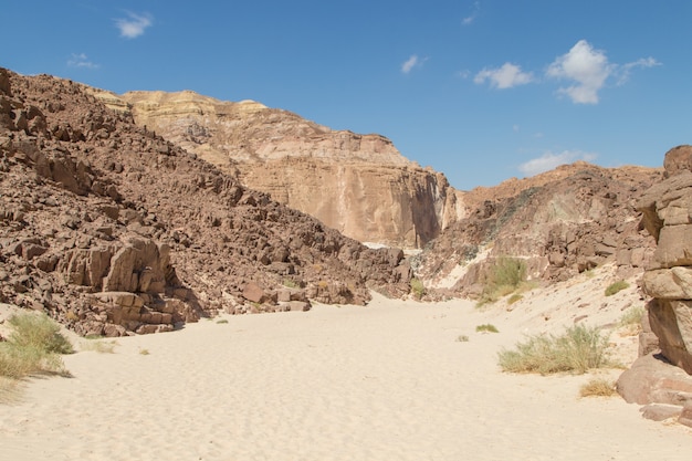 Weiße Schlucht mit gelben Felsen. Ägypten, Wüste, die Sinai-Halbinsel, Dahab.