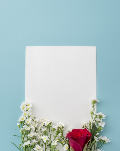 Weiße Schneiderblumen und -ROT stiegen auf hellblauen Hintergrund mit Papierrahmen