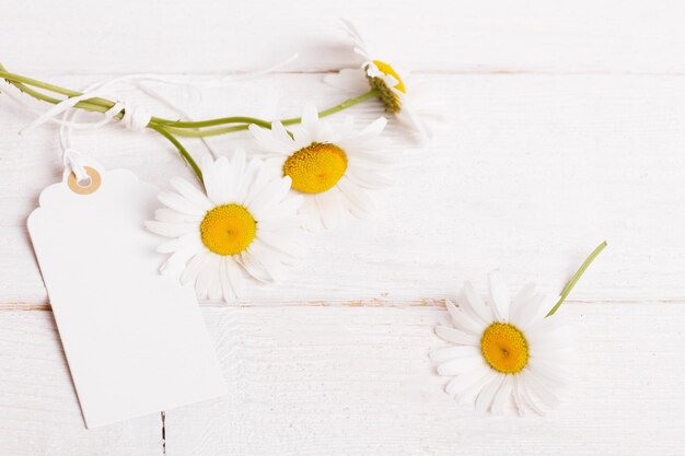 Weiße Sommergänseblümchenblumen auf einem weißen hölzernen Hintergrund mit einer Karte für die Aufschrift Konzept der Glückwunscheinladungspostkarte des Sommerschlussverkaufs