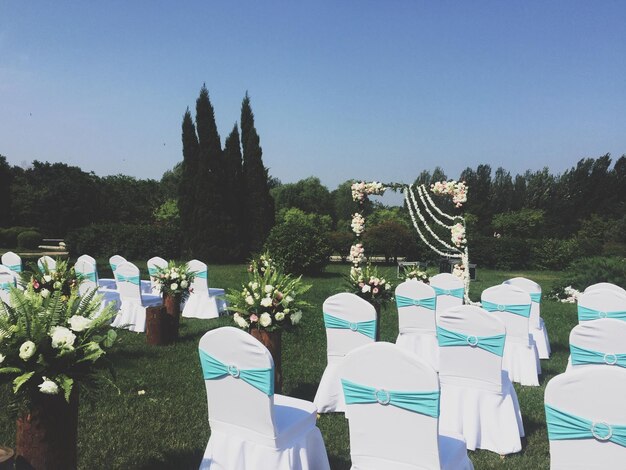 Foto weiße stühle auf dem gras während des hochzeitsempfangs vor klarem himmel