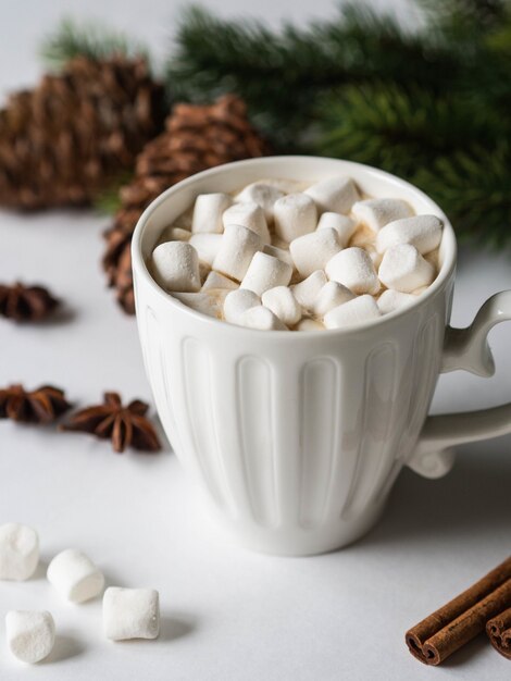 Weiße Tasse mit Kakao mit Gewürzen und Eibischen