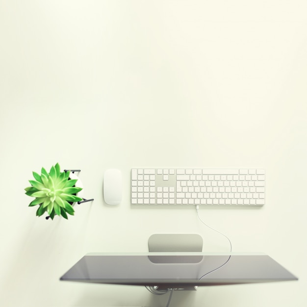 Weiße Tastatur, Maus, saftige Anlage auf weißem Schreibtisch.