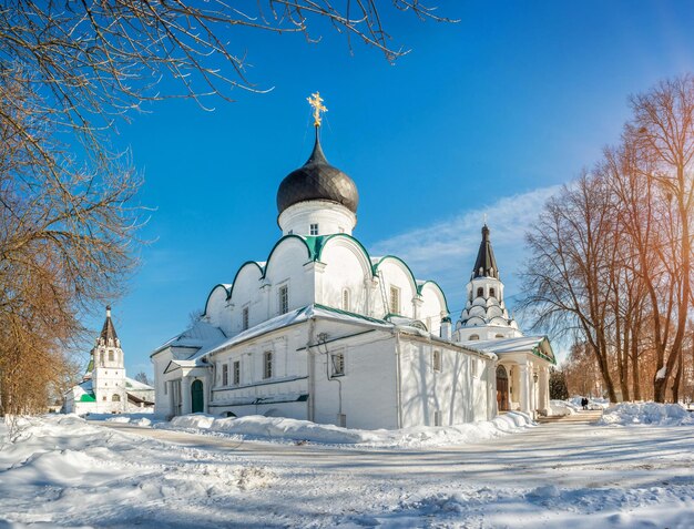 Weiße Tempel im blauen Himmel im Alexander Sloboda an einem sonnigen Wintertag