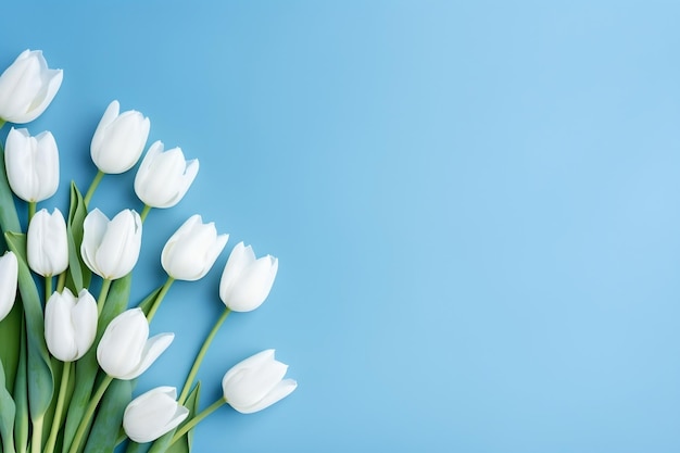 Weiße Tulpen auf blauem Hintergrund Generative KI