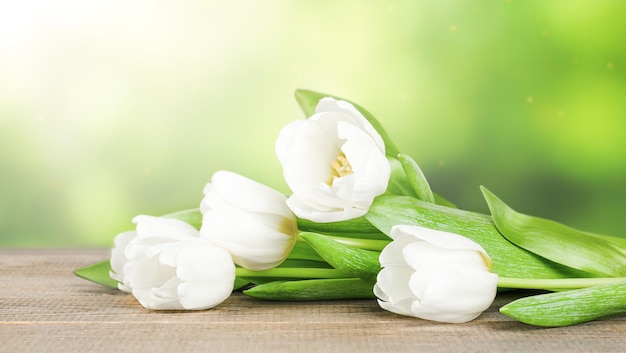 Weiße Tulpen, die auf einem Holztisch auf einem verschwommenen natürlichen Hintergrund liegen